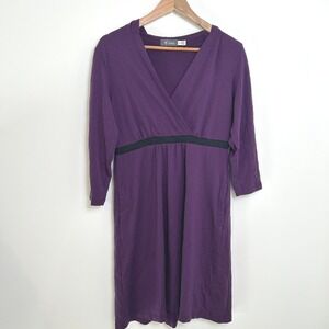 Ibex Dress Women's Size Large L Indie Hoodie‎ Style Merino Wool Knee Length